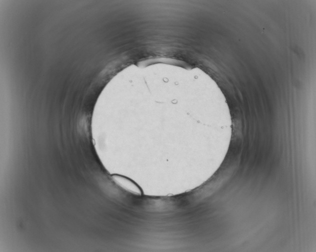 X0000111950286200909071326