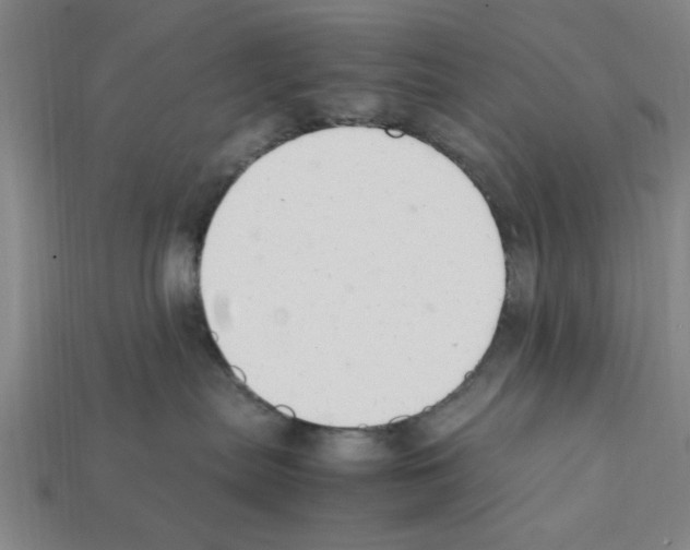 X0000111950287200909071326
