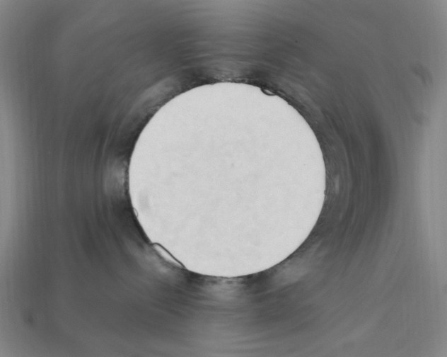 X0000111950288200909071326