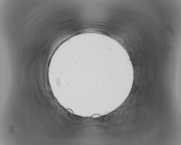 X0000111950289200909071325