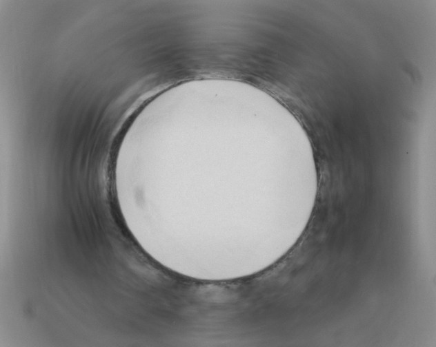 X0000111950290200909071325