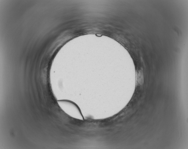 X0000111950291200909071325