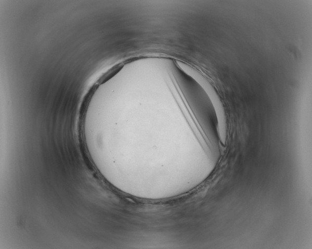 X0000111950292200909071325