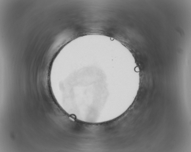 X0000111950293200909071325
