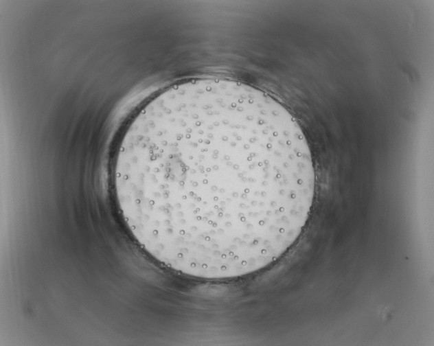 X0000111950294200909071325