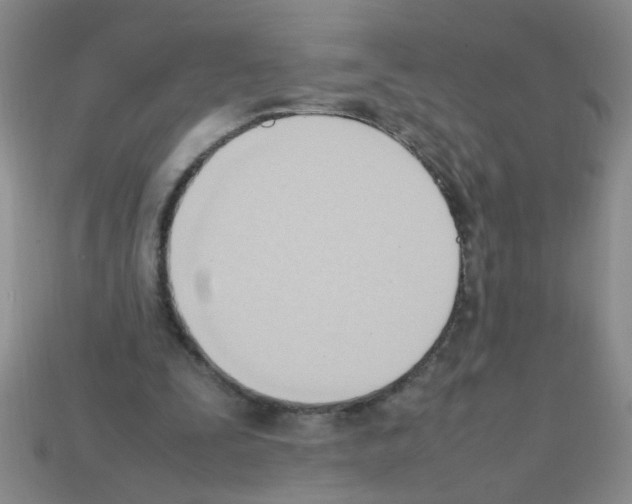 X0000111950295200909071325