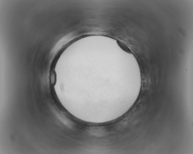 X0000111950296200909071325