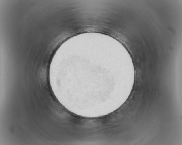 X0000111950297200909071325