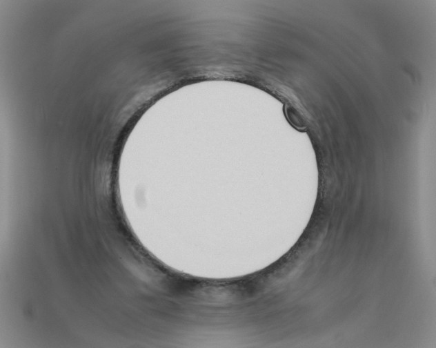 X0000111950299200909071325