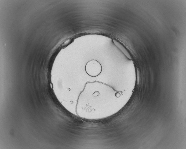 X0000111950300200909071325