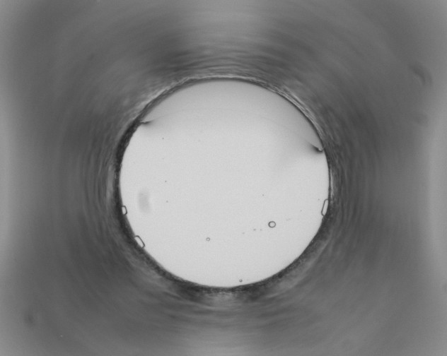 X0000111950301200909071325