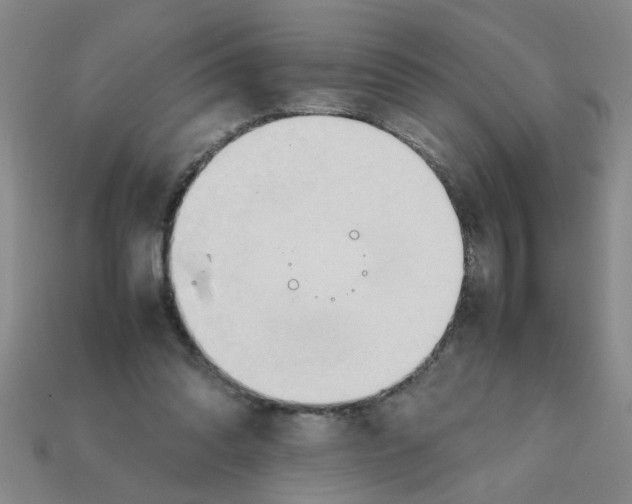 X0000111950302200909071325