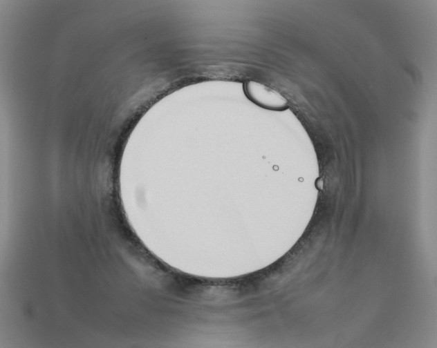X0000111950303200909071325
