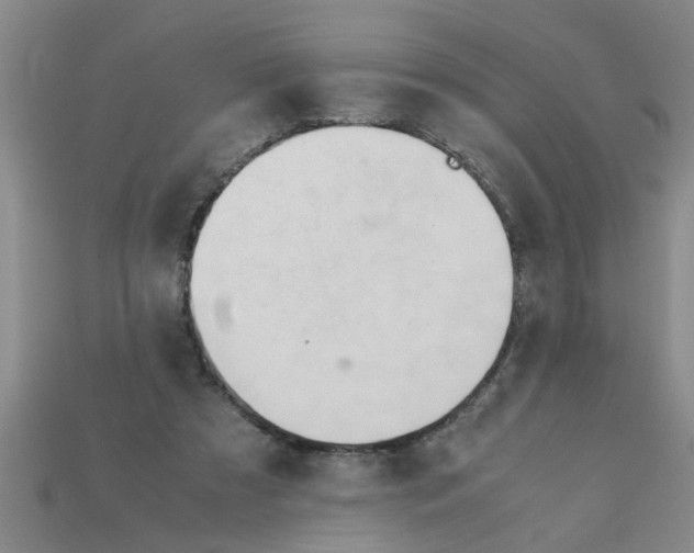X0000111950305200909071325