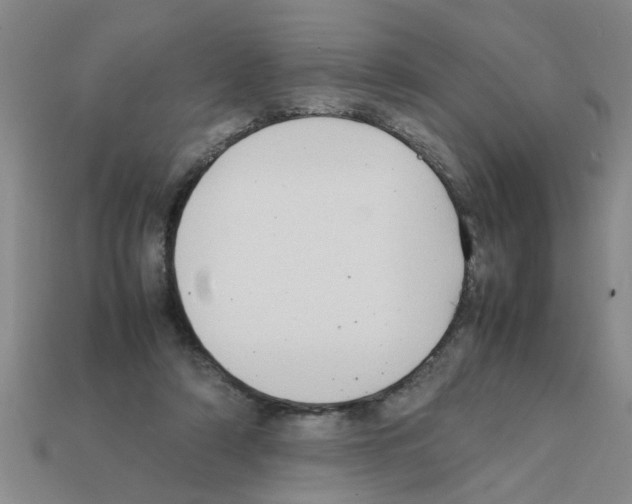 X0000111950306200909071325