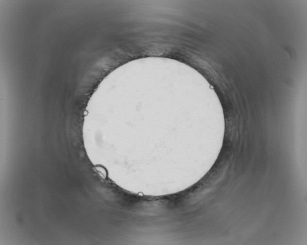 X0000111950307200909071325