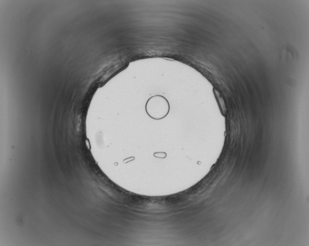 X0000111950308200909071325