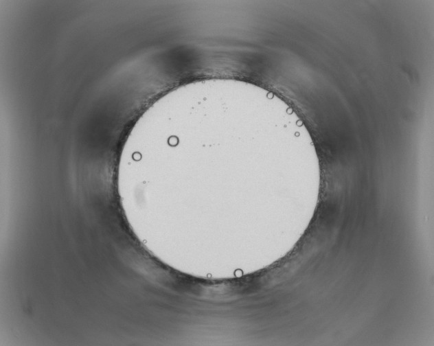 X0000111950309200909071325