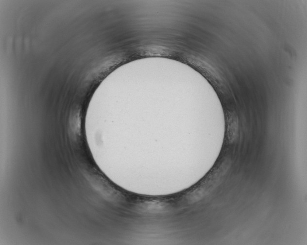 X0000111950310200909071325