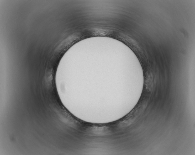 X0000111950314200909071325
