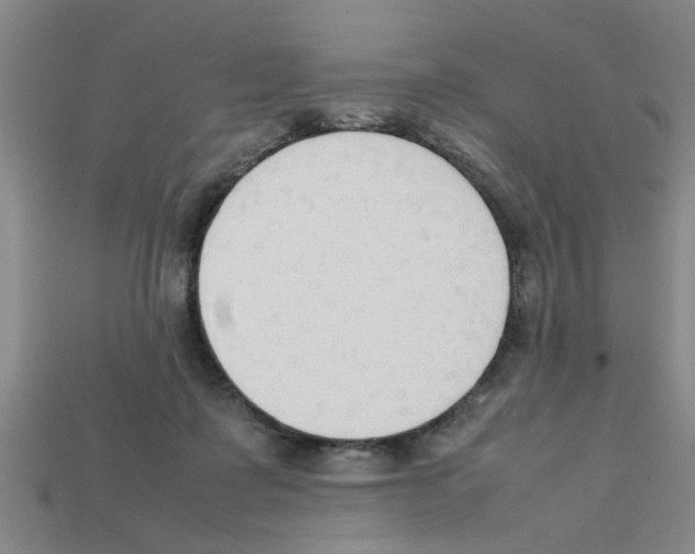 X0000111950315200909071325