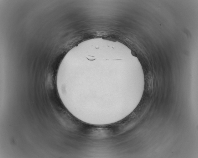 X0000111950316200909071325