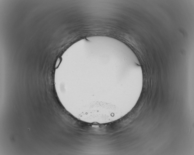 X0000111950317200909071325