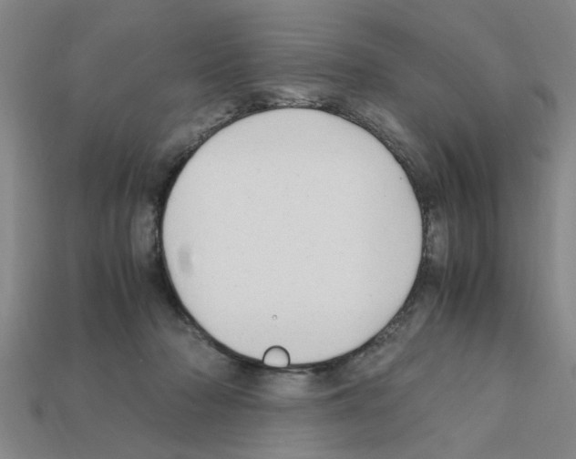 X0000111950318200909071325