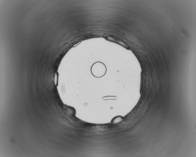 X0000111950320200909071325