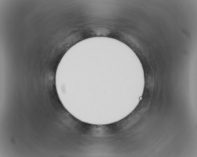 X0000111950321200909071325