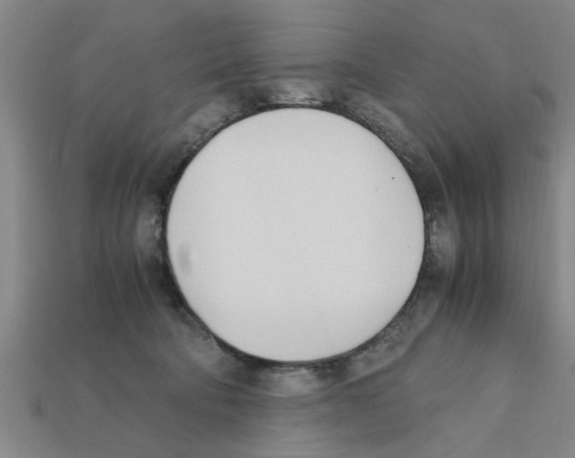 X0000111950322200909071325
