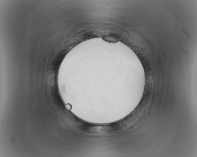 X0000111950323200909071325