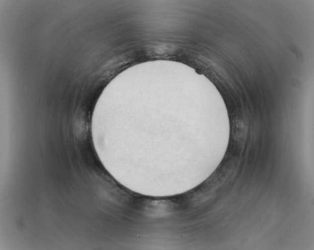 X0000111950324200909071325