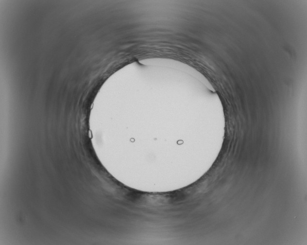 X0000111950327200909071325