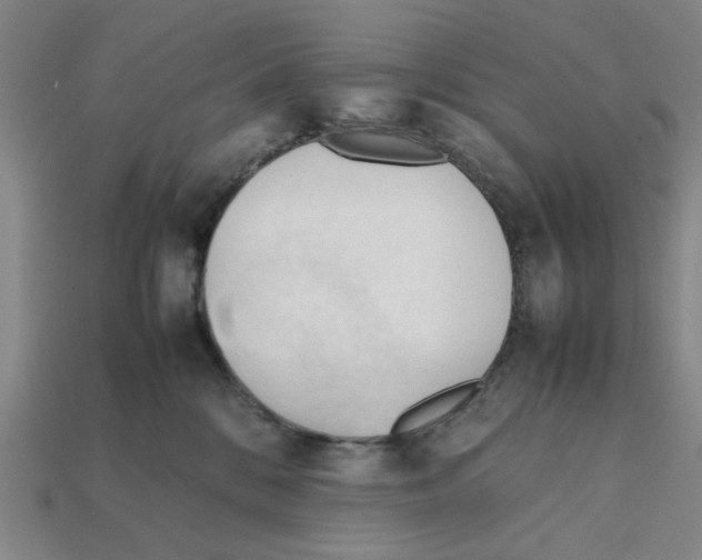 X0000111950328200909071325