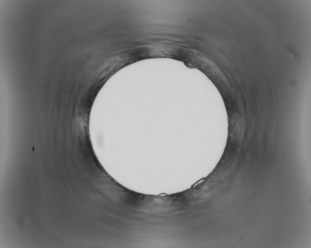 X0000111950329200909071325