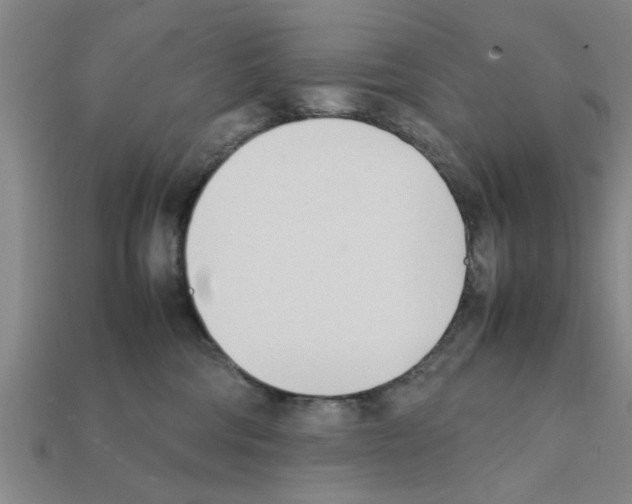 X0000111950330200909071325