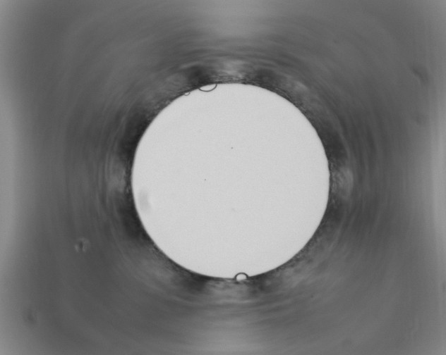 X0000111950331200909071325