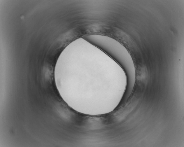 X0000111950332200909071325