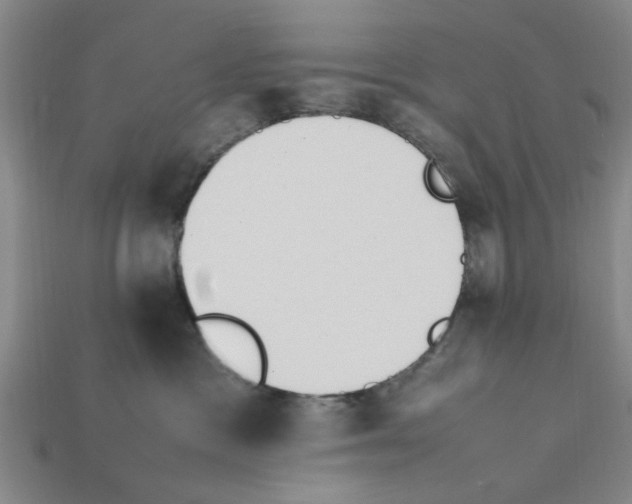 X0000111950333200909071325