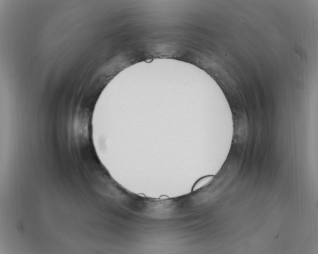 X0000111950334200909071325