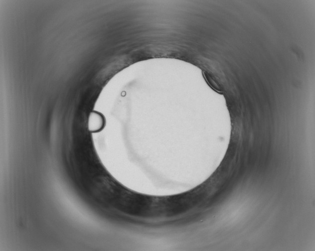 X0000111950335200909071325