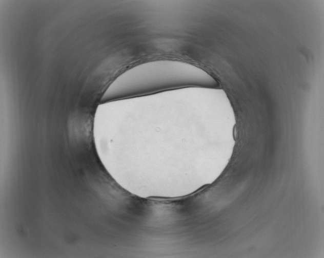 X0000111950336200909071325
