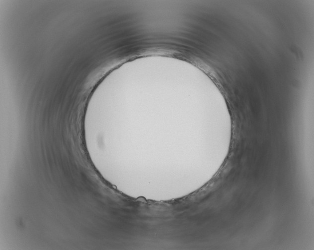 X0000111950337200909071324