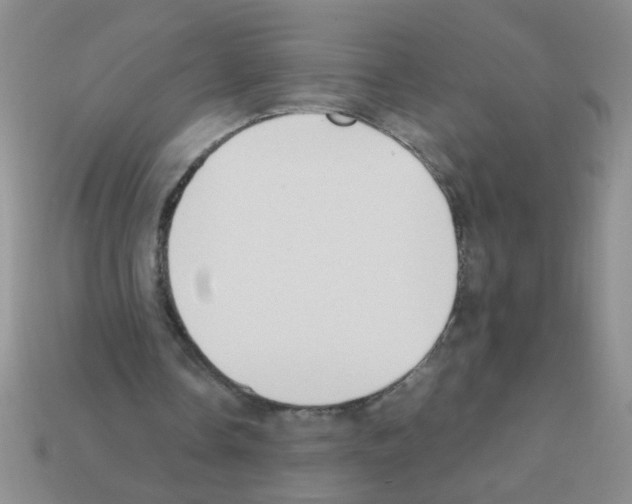 X0000111950338200909071324