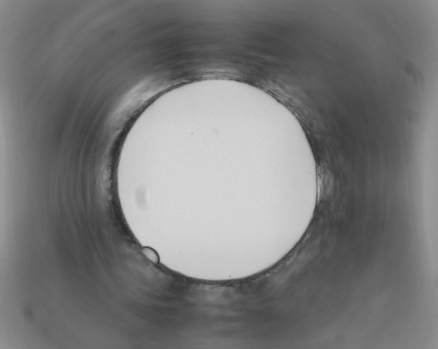 X0000111950339200909071324
