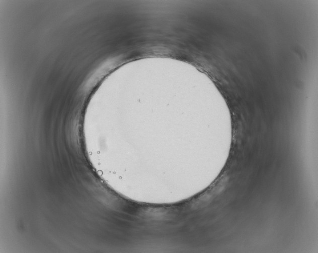 X0000111950341200909071324