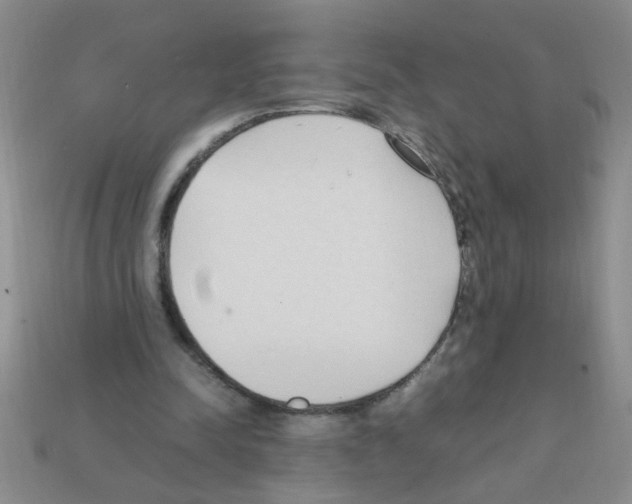 X0000111950342200909071324