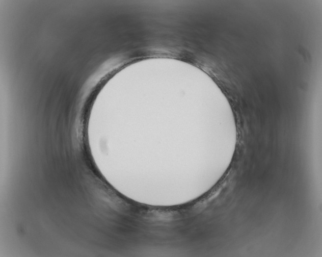X0000111950343200909071324