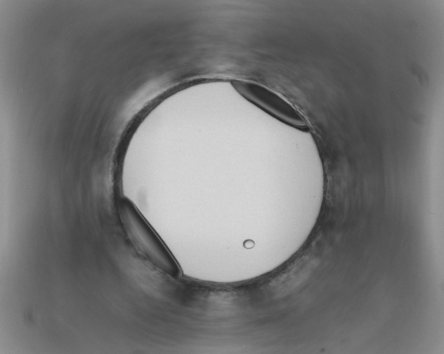 X0000111950344200909071324